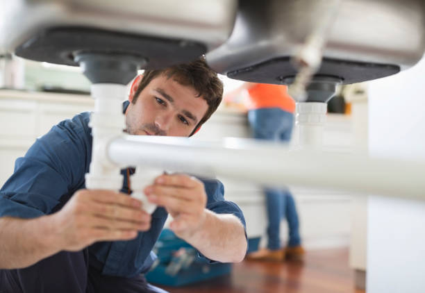 Best Sprinkler Systems  in Savage, MN